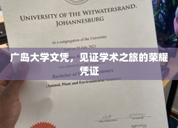 广岛大学荣耀文凭，承载学术旅程的璀璨印记