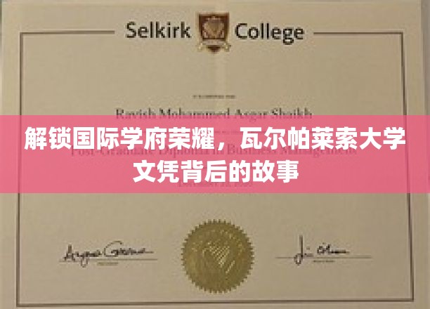 解锁国际学府荣耀，瓦尔帕莱索大学文凭背后的故事