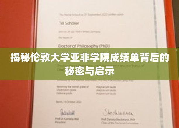 探索伦敦大学亚非学院成绩单的奥秘与教育启示