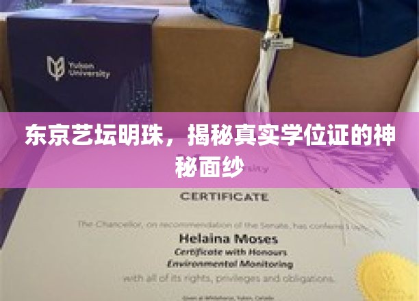 艺坛之光，东京名校学位证背后的传奇之谜