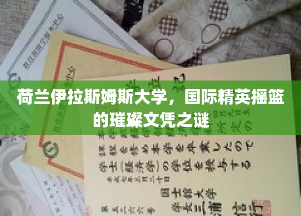 荷兰伊拉斯姆斯大学，揭秘全球精英梦寐以求的文凭魅力