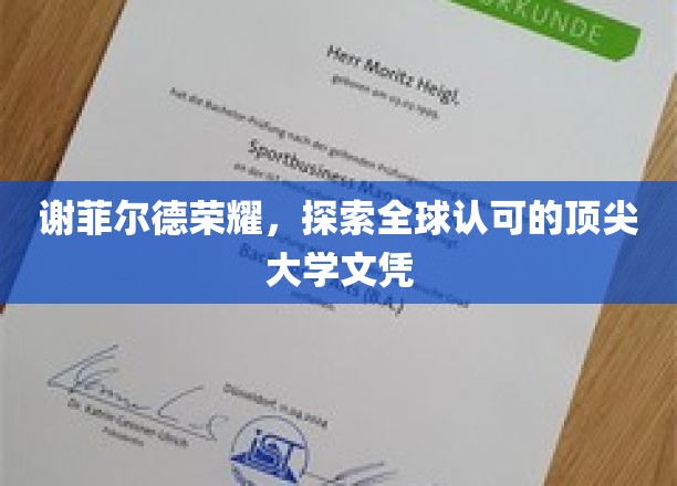谢菲尔德荣耀，解锁国际认可的精英大学学位之旅