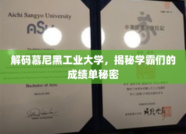 解码慕尼黑工业大学，揭秘学霸们的成绩单奥秘