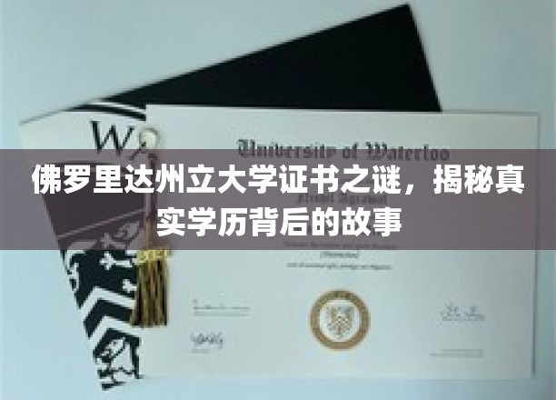 佛罗里达州立大学证书之谜，揭秘真实学历背后的故事