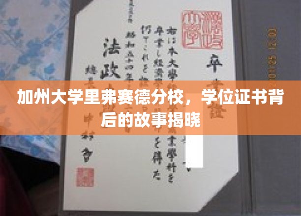 解码加州大学里弗赛德分校，学位证书背后的传奇之旅
