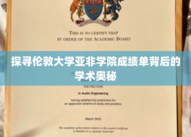 探寻伦敦大学亚非学院成绩单背后的学术奥秘