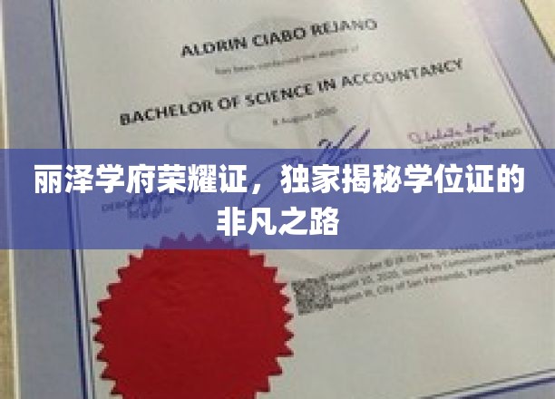 学位荣耀启程，丽泽学府学位证的非凡传承之旅
