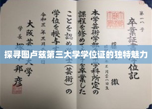 探寻图卢兹第三大学学位证的独特魅力