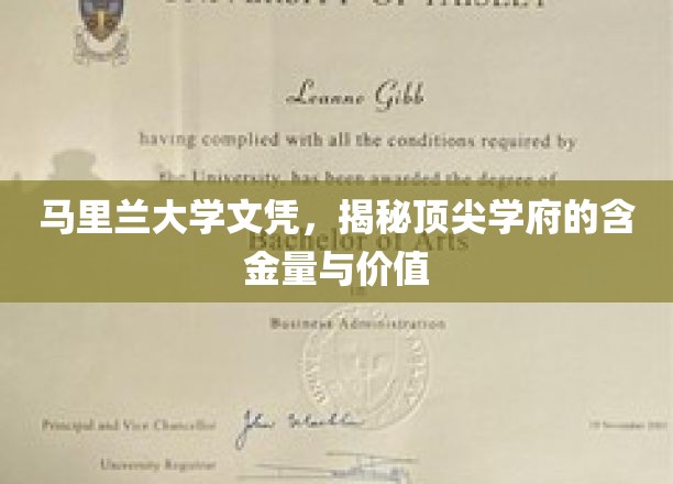 马里兰大学文凭，揭秘顶尖学府的含金量与价值