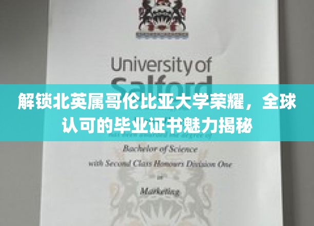 探寻北英属哥伦比亚大学卓越魅力，国际认可学历背后的秘密宝藏