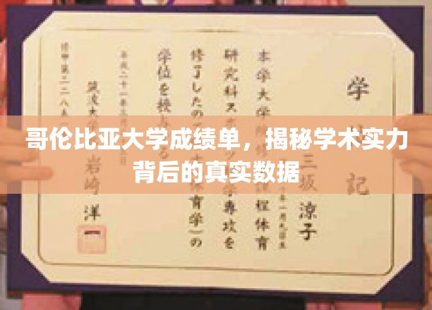 哥伦比亚大学成绩单，揭示学术实力背后的真实数据
