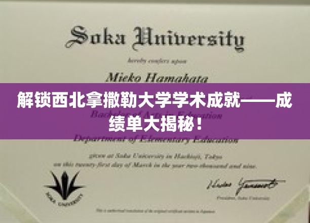 西北拿撒勒大学，揭秘辉煌学术背后的成绩单传奇