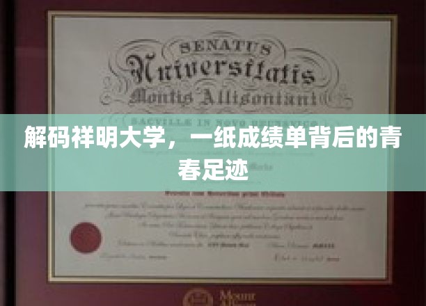 探寻祥明大学，成绩单映照下的青春轨迹