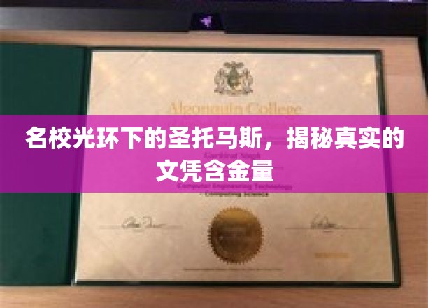 名校光环下的圣托马斯，揭秘真实的文凭含金量