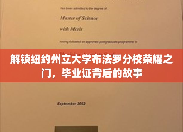 揭秘布法罗分校荣耀历程，毕业证背后的辉煌故事