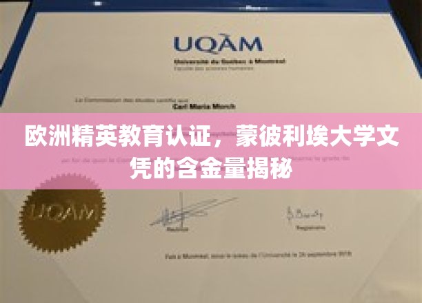 欧洲精英学府通行证，蒙彼利埃大学文凭价值解析