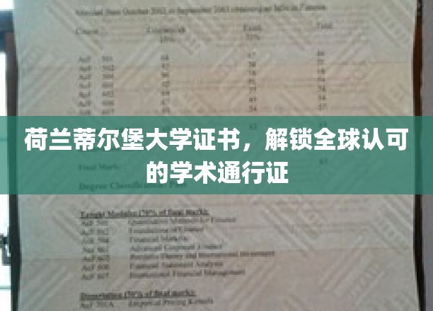 跨国学术通行证，荷兰蒂尔堡大学证书引领国际教育新潮流