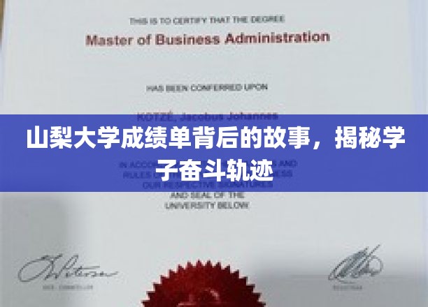 山梨大学成绩单背后的故事，揭秘学子奋斗轨迹