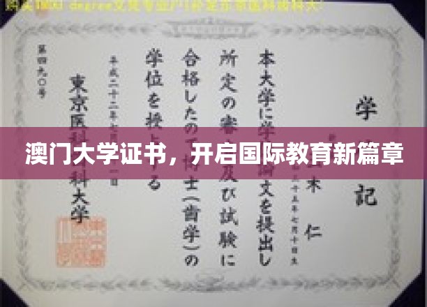 澳门大学证书，领航全球教育新纪元