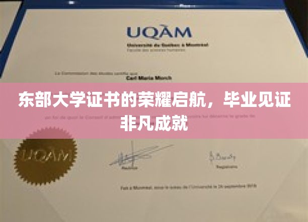 东部学府荣耀启航，毕业证书见证非凡人生里程碑
