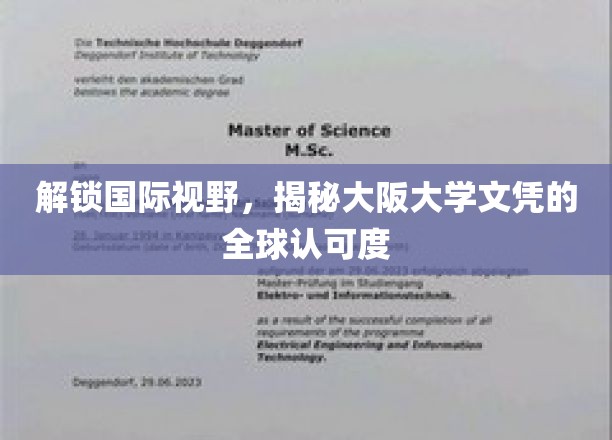 探索国际视野，一睹大阪大学文凭在全球范围内的认可度