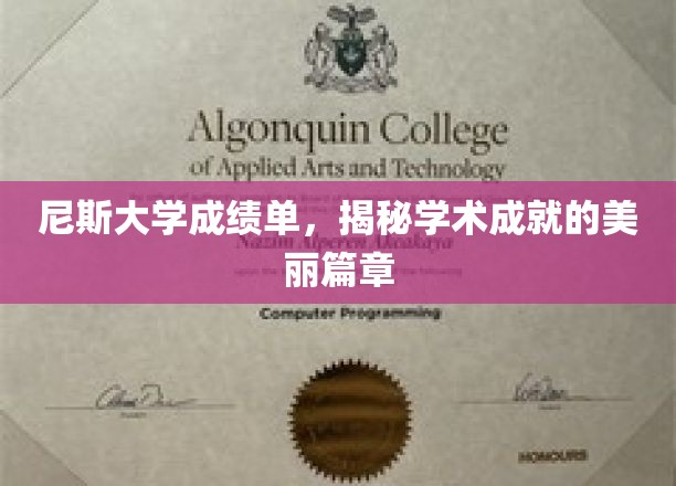 尼斯大学成绩单，揭秘学术成就的美丽篇章