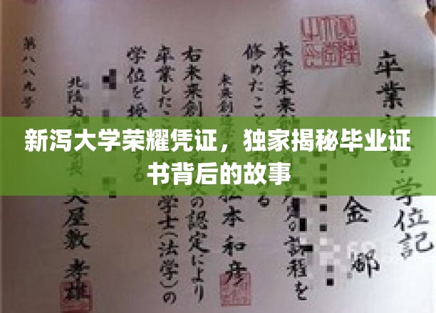 探寻新泻大学毕业证书的传奇之旅