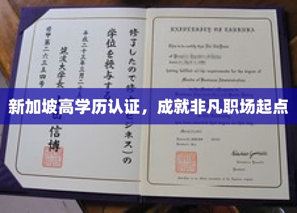 新加坡学历认证助力，开启卓越职场新征程