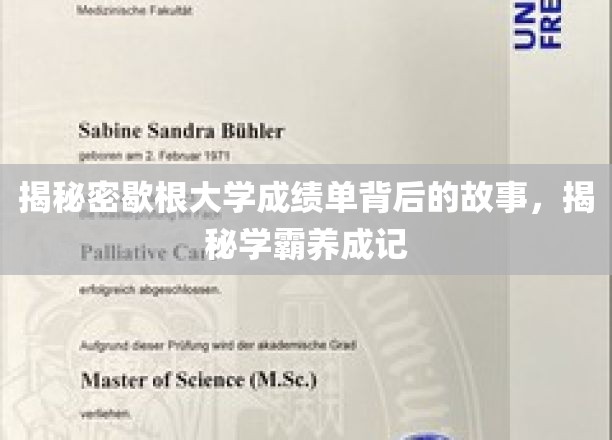 解码学霸成长轨迹，揭秘歇根大学成绩单背后的非凡历程