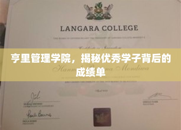 解码亨里精英，优秀学子背后的卓越成绩面纱