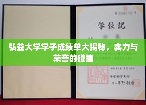 弘益大学精英风采，荣耀榜上成绩单背后的实力较量