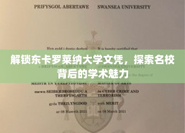 探寻东卡罗莱纳大学，解锁精英教育之光