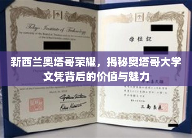 新西兰奥塔哥荣耀，揭秘奥塔哥大学文凭背后的价值与魅力