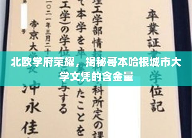 哥本哈根城市大学文凭，北欧教育精英的全球通行证