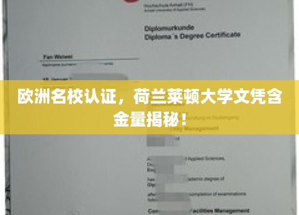 荷兰莱顿大学文凭，欧洲名校认证背后的价值解析