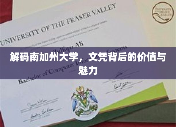 探索南加大文凭，揭秘其价值与非凡魅力