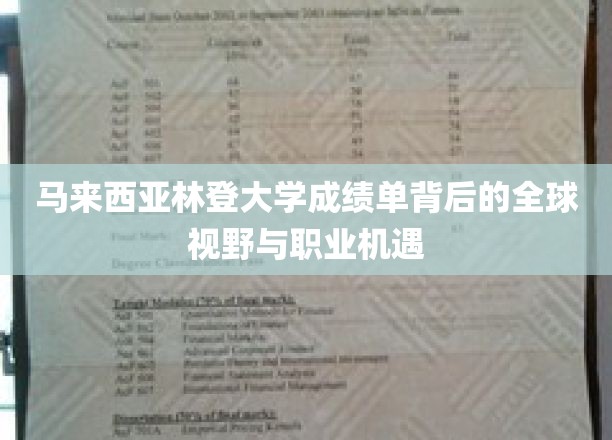 马来西亚林登大学成绩单揭示的全球视野与职业发展机遇