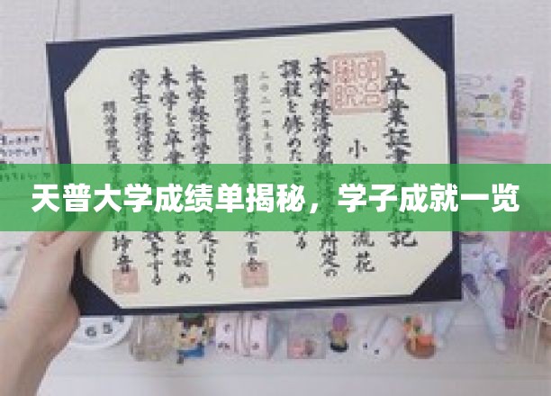 天普大学成绩单揭秘，学子成就一览