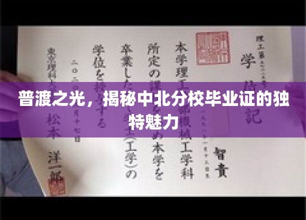 普渡之光，揭秘中北分校毕业证的独特魅力