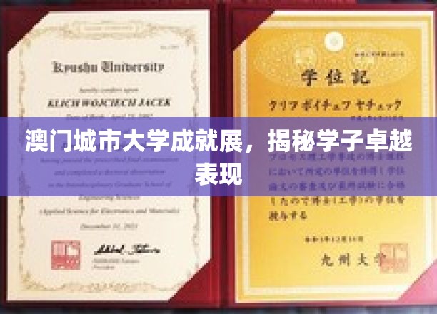 澳门城市大学成就展，揭秘学子卓越表现