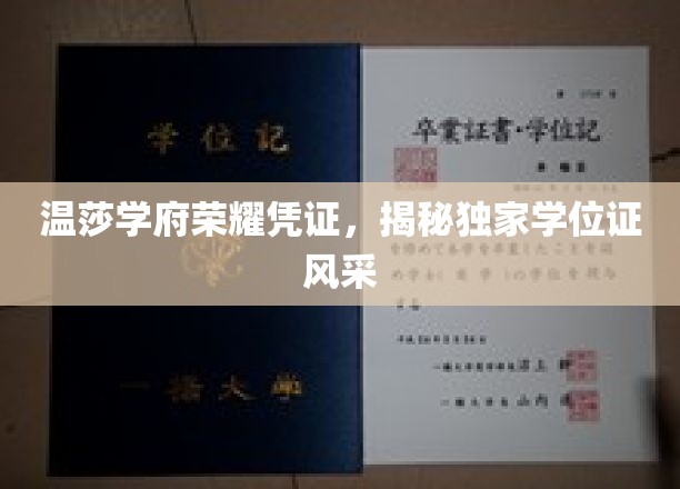 温莎学府荣耀凭证，揭秘独家学位证风采