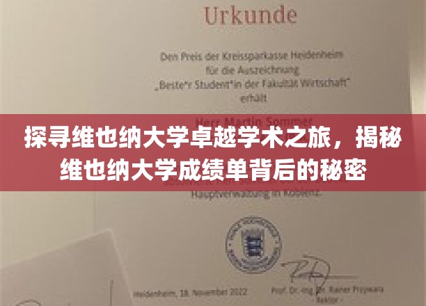 揭开维也纳大学学术精英背后的神秘成绩单面纱
