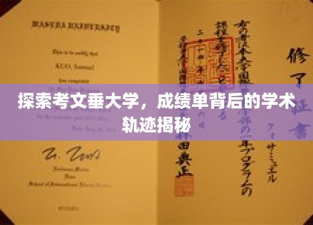解锁考文垂大学，揭开成绩单背后的学术奥秘