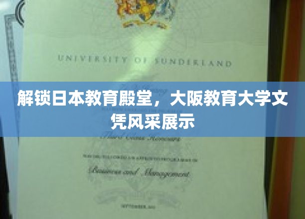 日本教育瑰宝，大阪教育大学学位魅力全解析