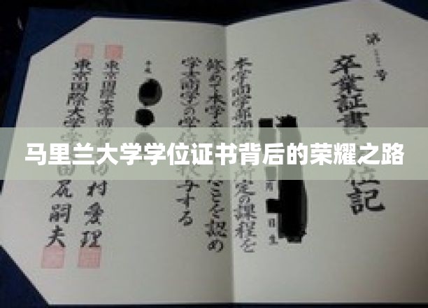 马里兰大学学位证书背后的荣耀之路