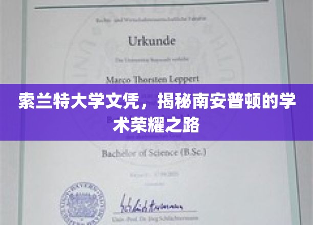 解码索兰特荣耀，探寻南安普顿大学的学术卓越篇章