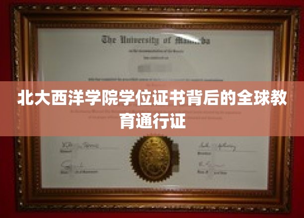 北大西洋学院学位证书背后的全球教育通行证