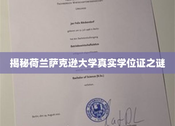 荷兰萨克逊大学学位证背后，揭秘真实学历的神秘面纱