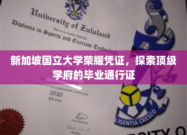 新加坡国立大学卓越印记，解码精英学子毕业证书的秘密面纱
