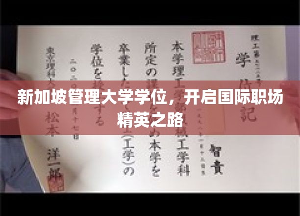 新加坡管理大学学位，通往全球职场巅峰的通行证